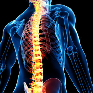 Acupuncture for Joint & Back Pain, 2 Hours, Chiropractic CE