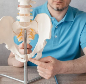Conditions of the Pelvic Girdle - 12 Credit Hours