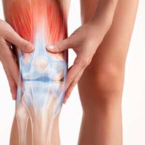Muscle Injuries Part 1 - 6 Credit Hours