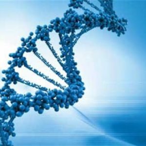 Pharmacogenetics 10 Chiropractic CE Hours