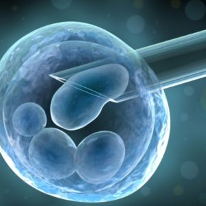 Future Stem Cell Treatments 2 Credit Hours Chiropractic Continuing Education