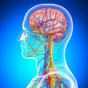 Tumors of the CNS - 2 Chiropractic CE Credits
