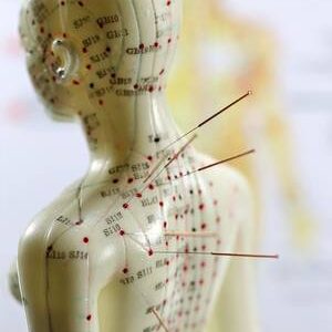 Understanding Safety with Anatomy & Acupuncture - 2 Chiropractic CE Credits